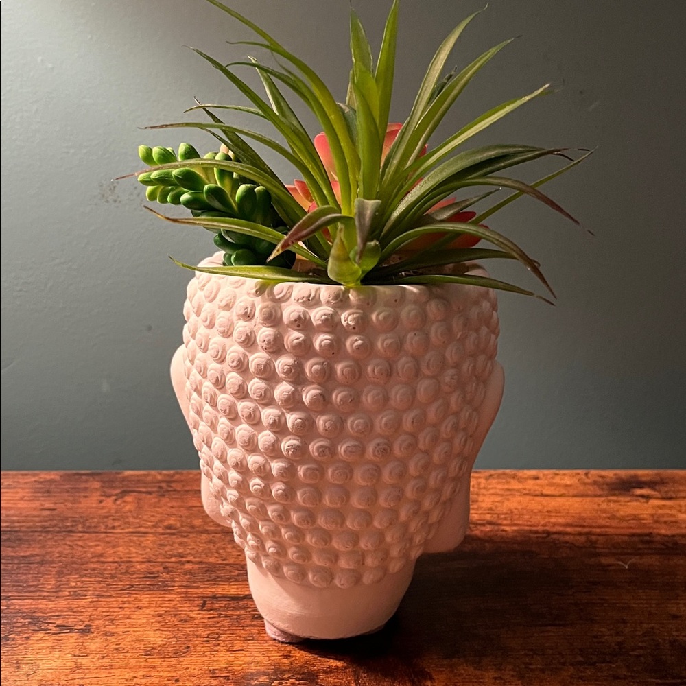 Succulent Buddha planter - Picture 2 of 5